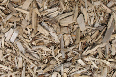 biomass boilers Pendomer